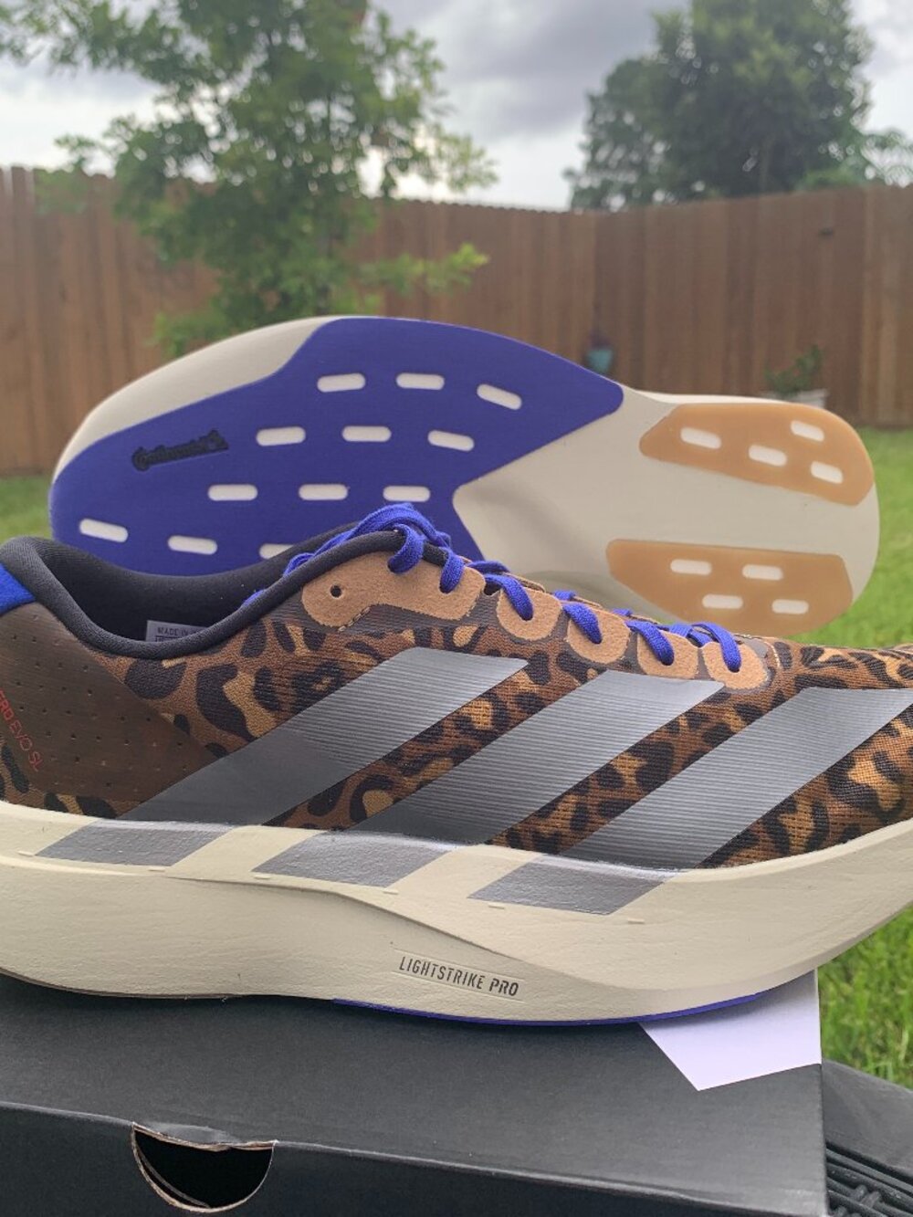 Adidas Adizero Evo SL Leopard Print Running Shoes Men 10.5 Women 11.5 JS4493